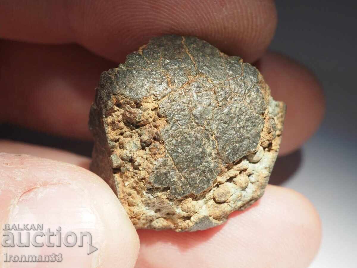 Delivery of Meteorite NWA XXX Delivery of Meteorite NWA XXX