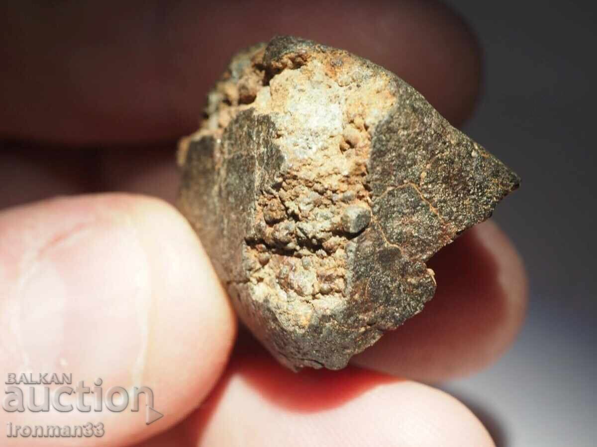 Meteorite NWA XXX - 6
