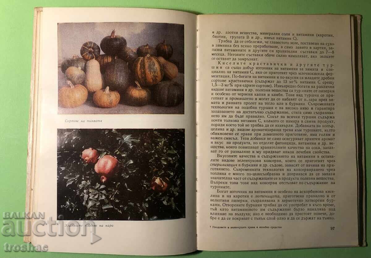 Old Book Fruits and Vegetables Food and Remedy - 6 Old Book Fruits and Vegetables Food and Remedy - 6