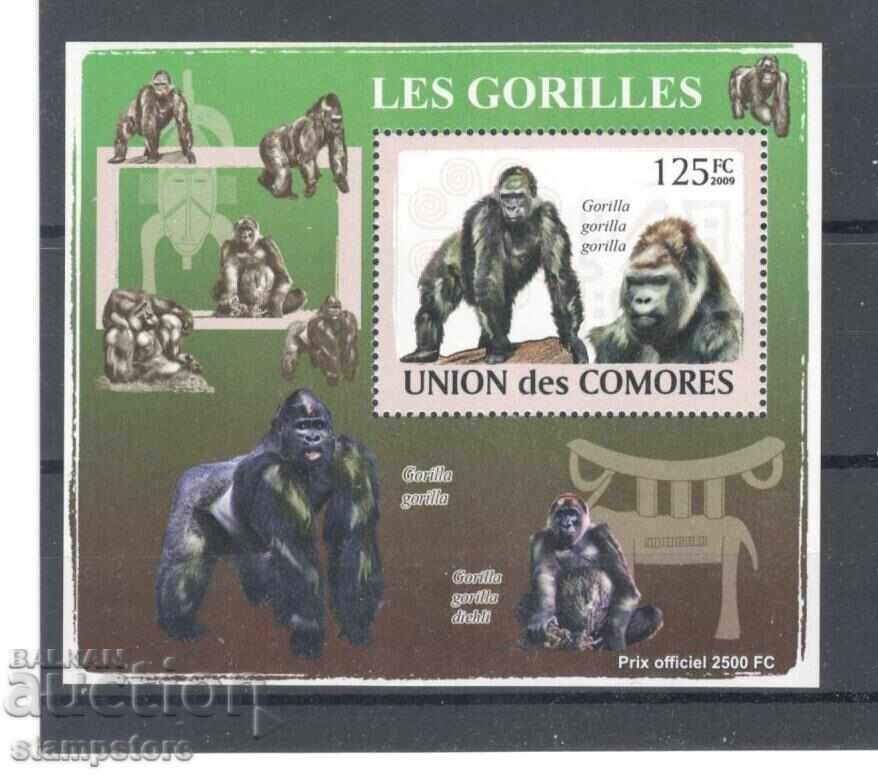 Comoros - Gorilla Block Comoros - Gorilla Block