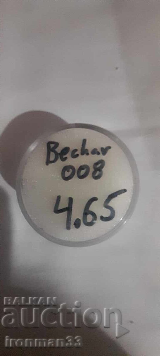 Auction Bechar 008 achondrite (howardite) meteorite Auction Bechar 008 achondrite (howardite) meteorite