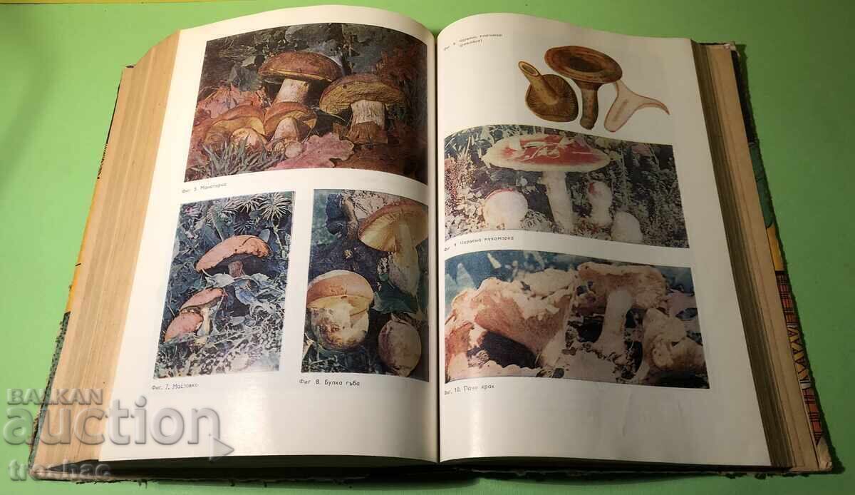 Παλιό βιβλίο Ένα βιβλίο για κάθε μέρα και κάθε σπίτι