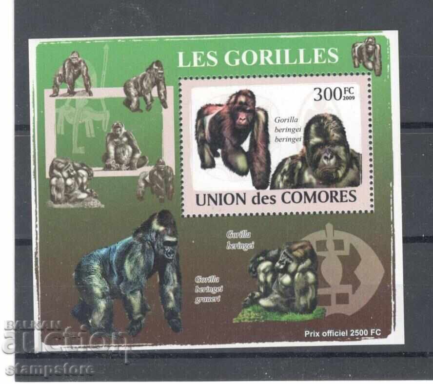 Κομόρες - Gorilla Block Κομόρες - Gorilla Block