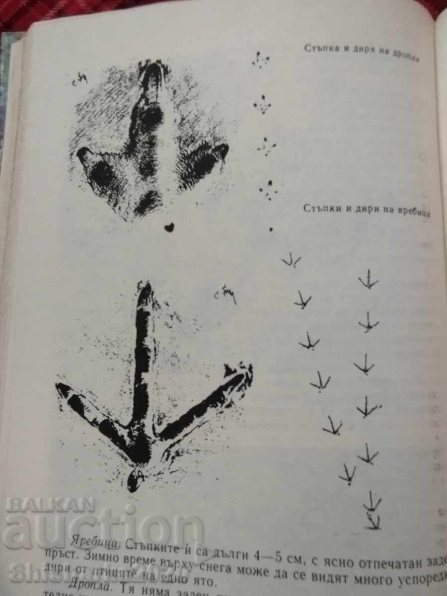 Auction A book about the hunter and the fisherman Auction A book about the hunter and the fisherman