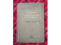 Учебник по анатомия на човека 1952г.