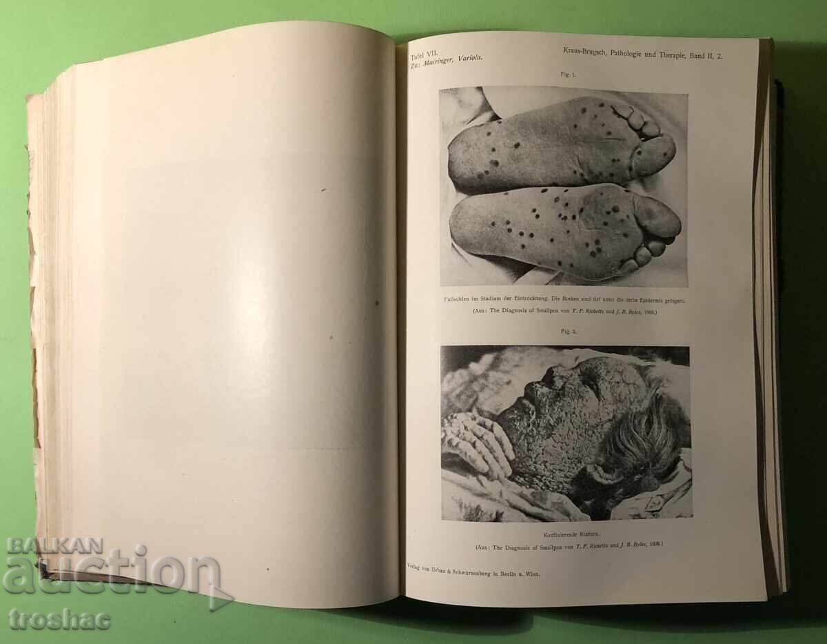 Delivery of Old Book Pathology and Treatment of Infectious Diseases 2 hours Delivery of Old Book Pathology and Treatment of Infectious Diseases 2 hours