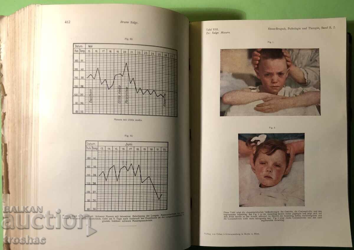 Old Book Pathology and Treatment of Infectious Diseases 2 hours - 7 Old Book Pathology and Treatment of Infectious Diseases 2 hours - 7