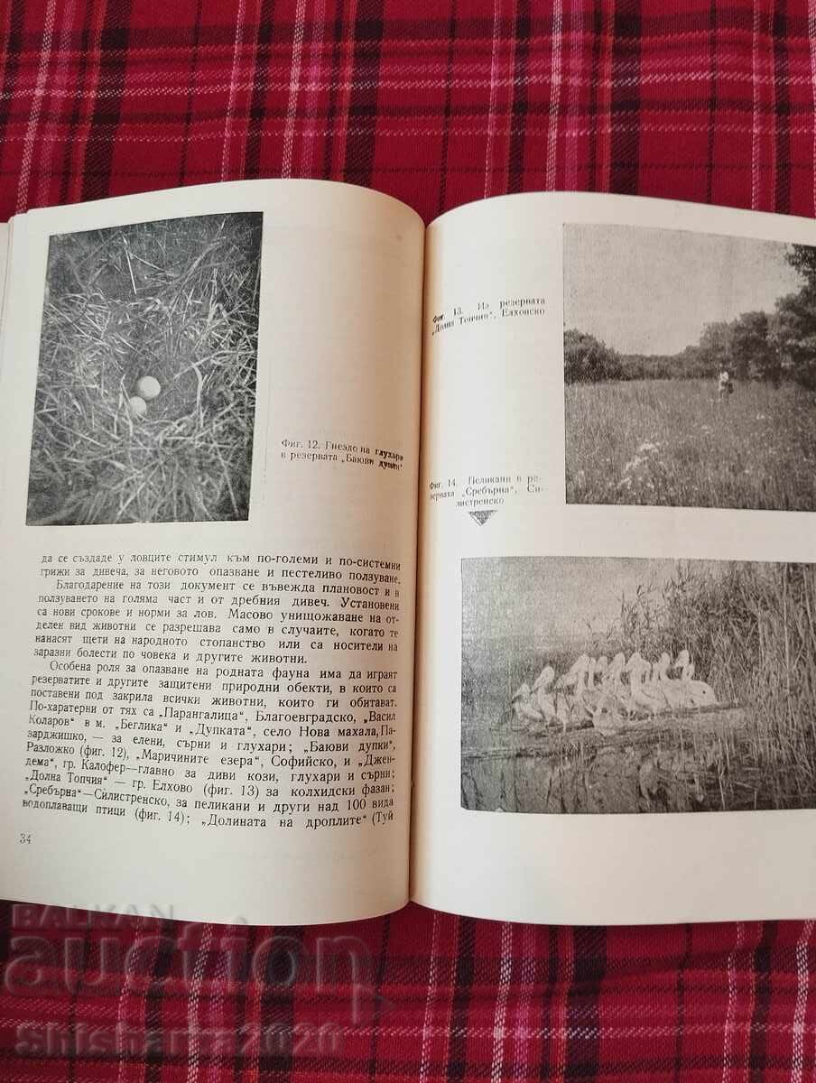 Auction Nature protection in Bulgaria Auction Nature protection in Bulgaria