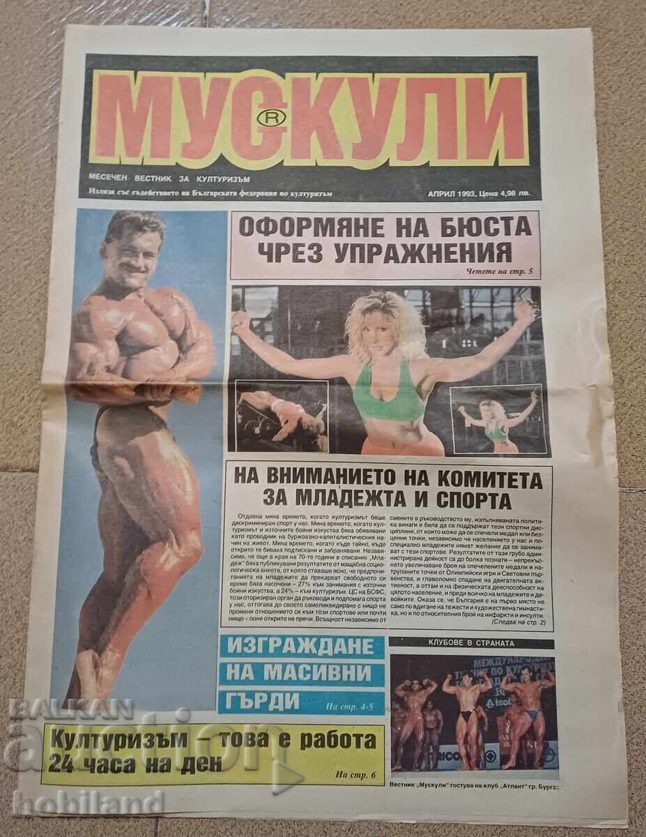 Muscles collector's journal Muscles collector's journal