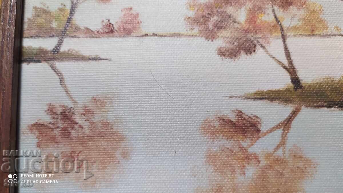 Painting oil canvas landscape with price 29.99 BGN | € 15.33 Painting oil canvas landscape with price 29.99 BGN | € 15.33