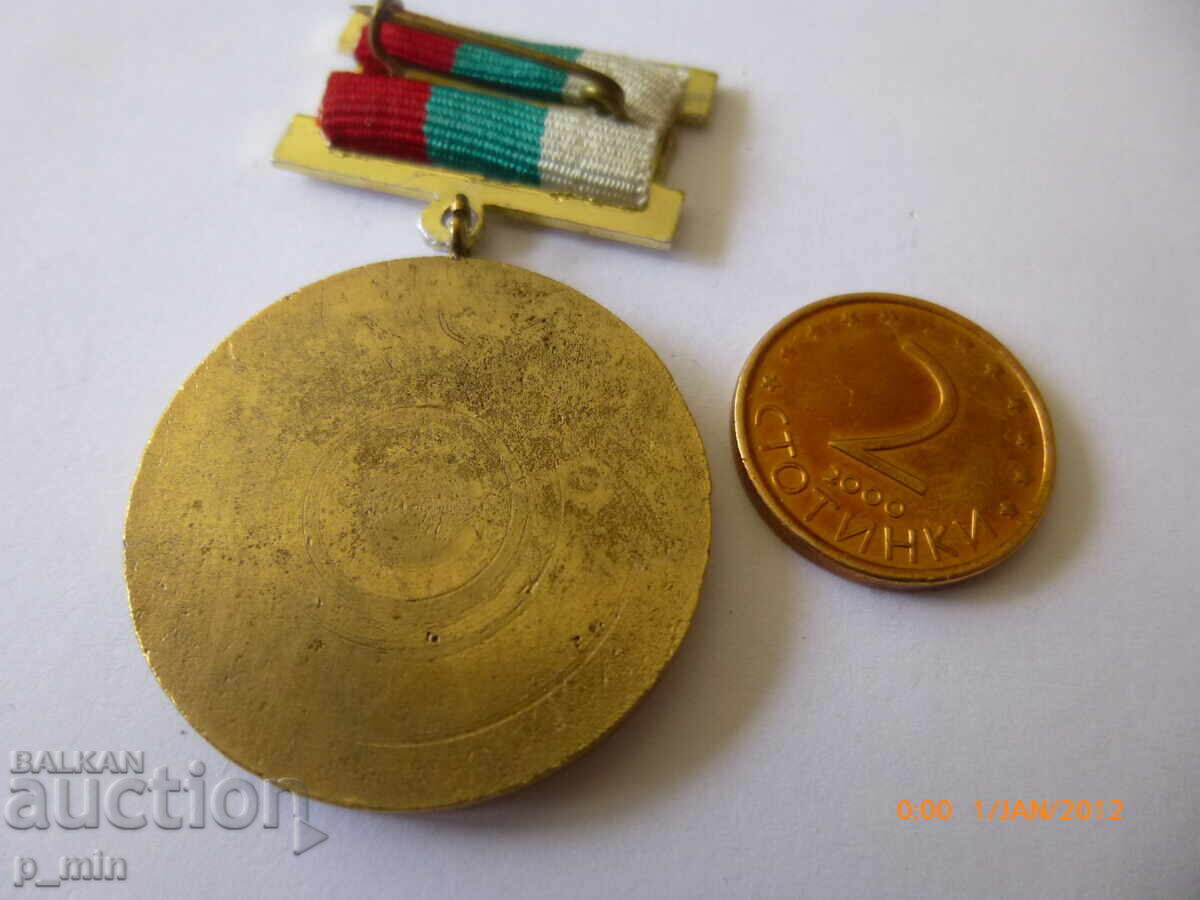 Auction  breastplate - Meritorious AVIATOR