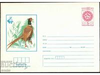 Bulgaria 1981. Illustrated envelope