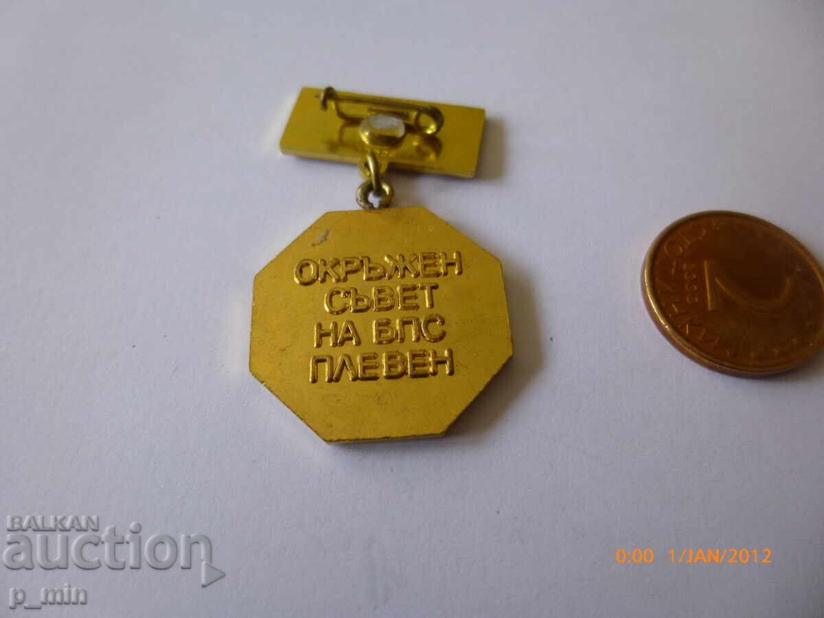 badge - best mentor - Pleven with price 8.00 BGN | € 4.09 badge - best mentor - Pleven with price 8.00 BGN | € 4.09