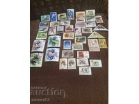 Postage stamps. Animals. USSR. Lot of 40 pieces