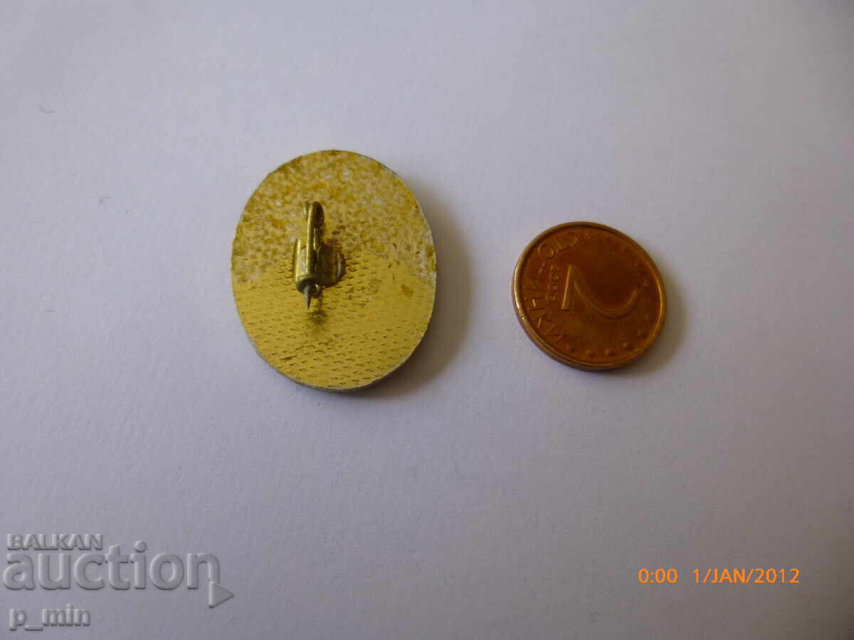 Auction badge - 100th anniversary of Elena's birth Auction badge - 100th anniversary of Elena's birth