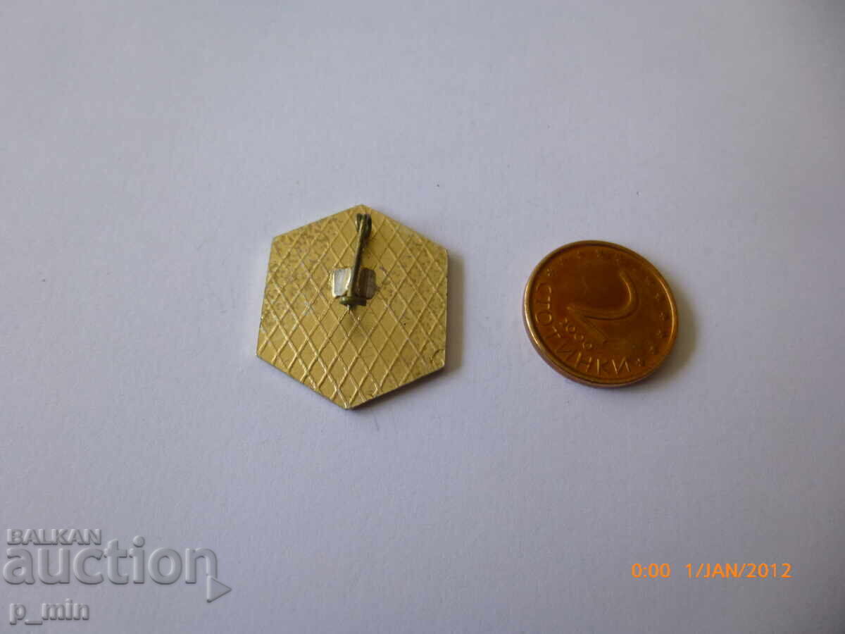 Auction breastplate - Svishtov Auction breastplate - Svishtov