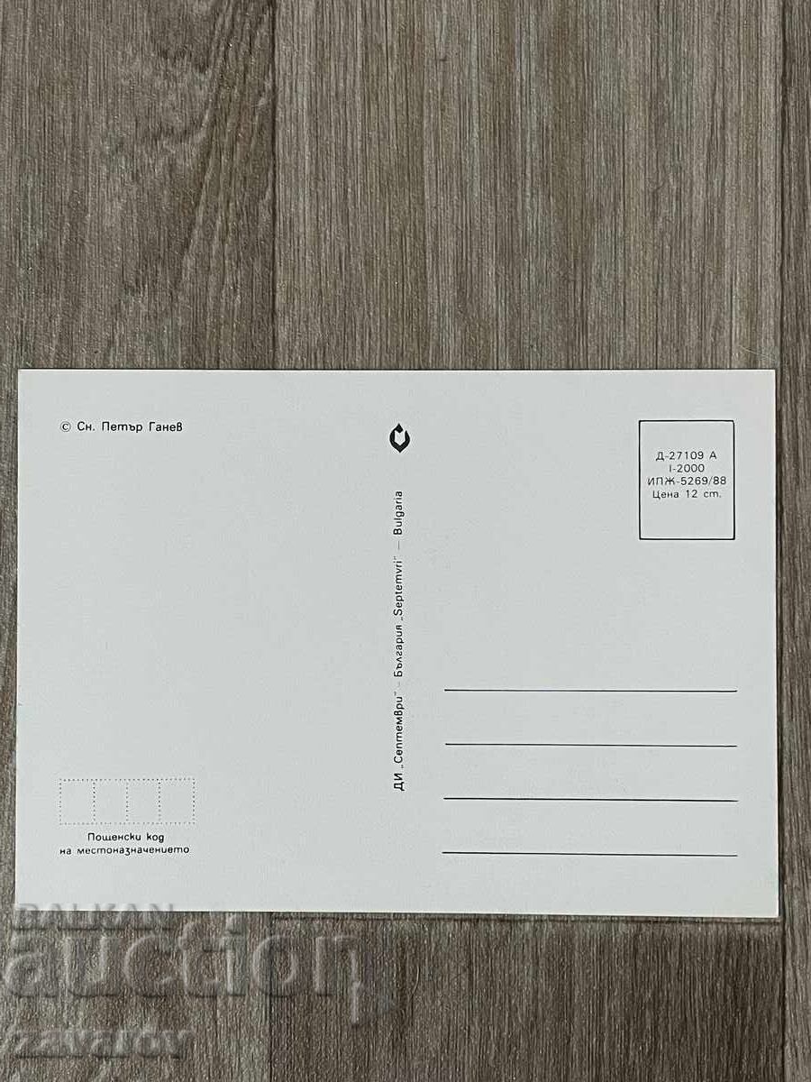 Postcard Bulgaria Folklore Ethnography Folk dances with price 0.55 BGN | € 0.28 Postcard Bulgaria Folklore Ethnography Folk dances with price 0.55 BGN | € 0.28