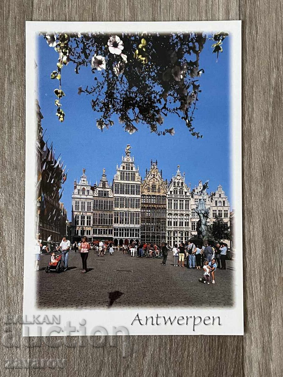 Antwerp Belgium Postcard Antwerp Belgium Postcard
