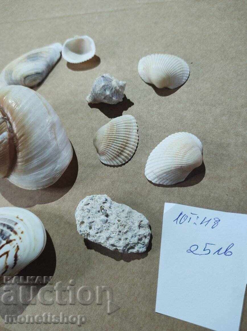 Δώρα στον ωκεανό - 6