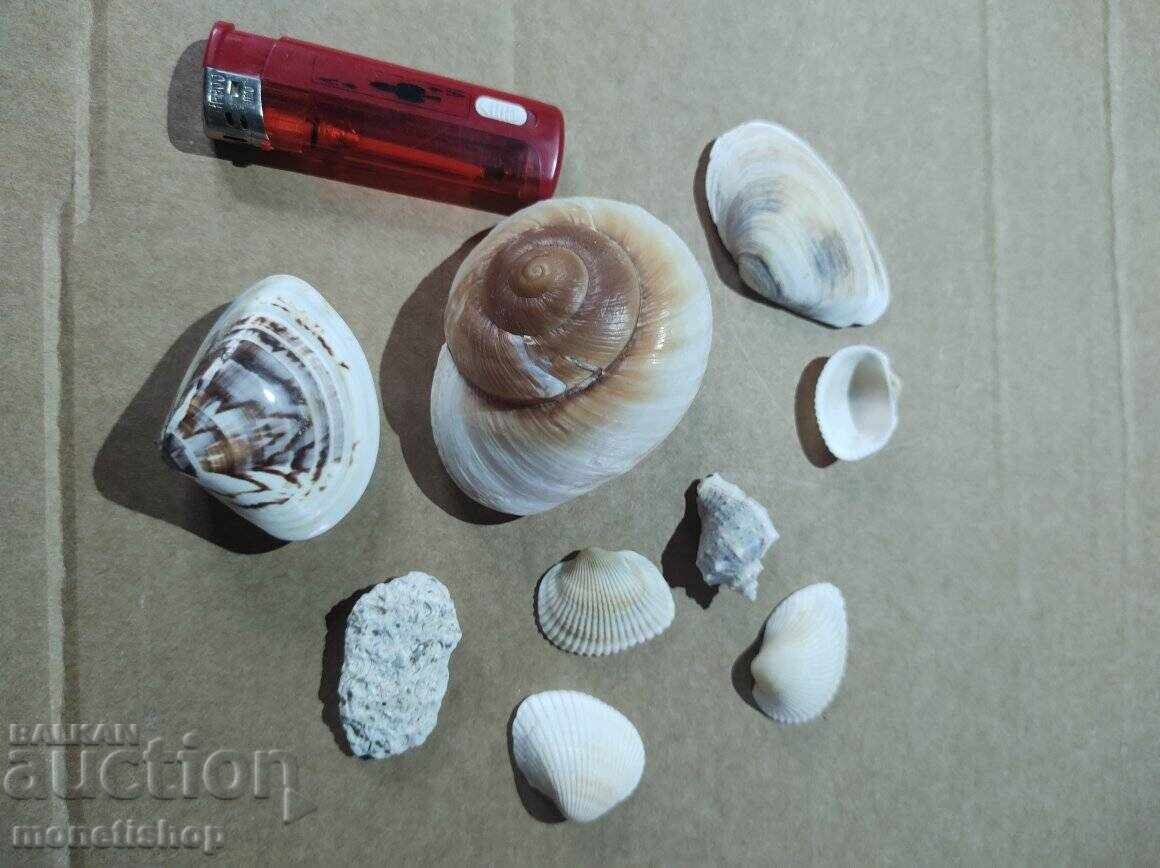 Δώρα στον ωκεανό