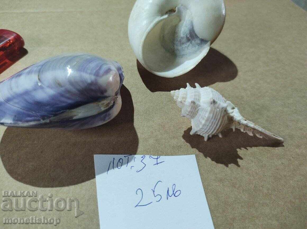 Δώρα στον ωκεανό. με τιμή 25.00 BGN | € 12.78 Δώρα στον ωκεανό. με τιμή 25.00 BGN | € 12.78