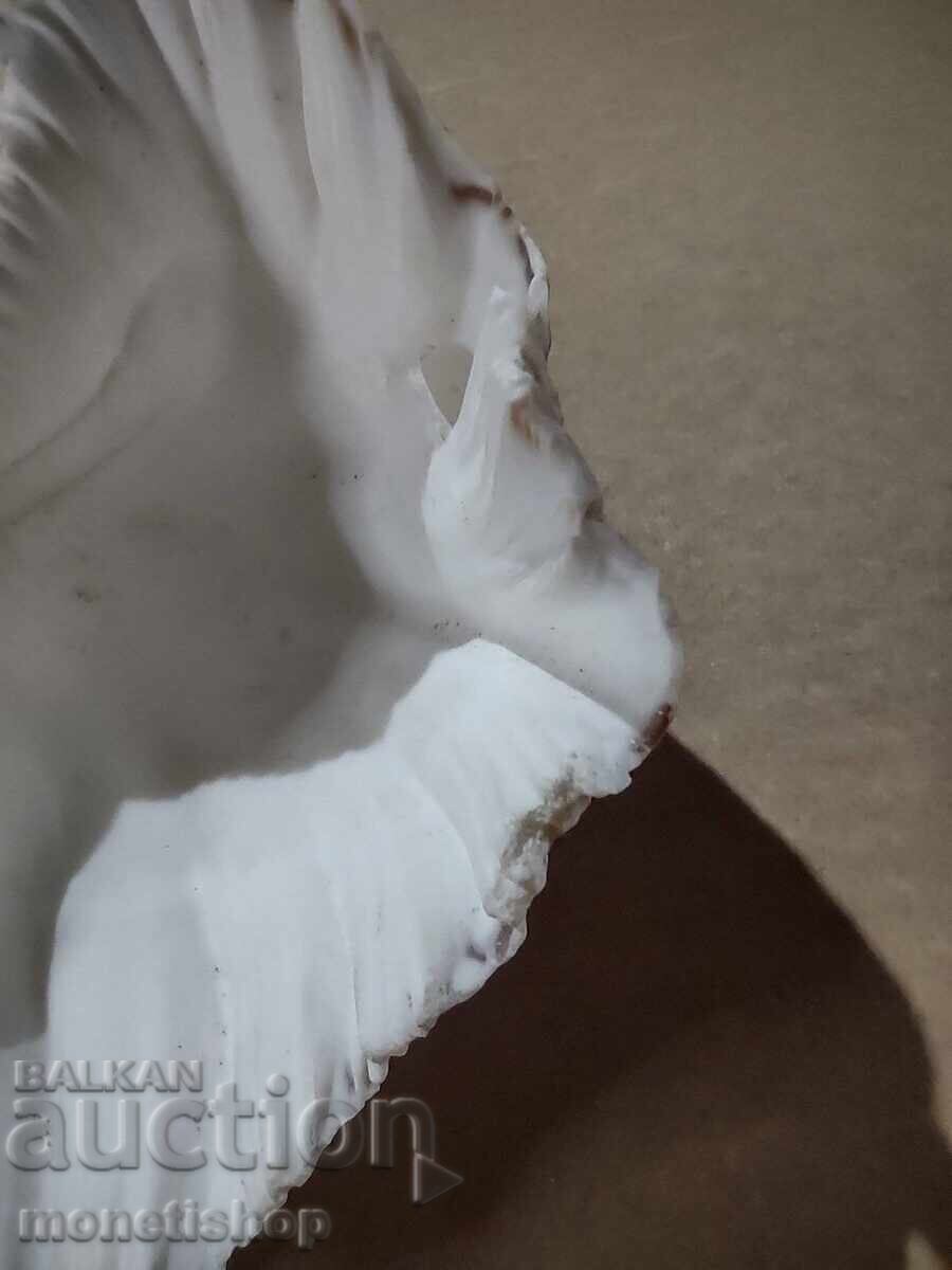 Δώρα στον ωκεανό - 5 Δώρα στον ωκεανό - 5