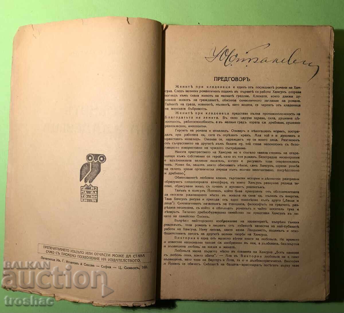 Δημοπρασία Παλιό βιβλίο Οι γυναίκες του πηγαδιού, Victoria/Knut Hamsun