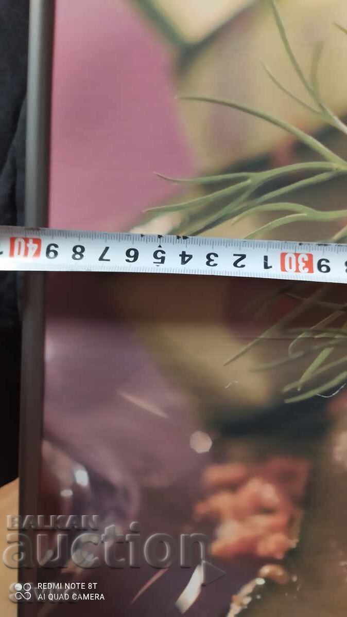 Poster photo for a metal-framed salad establishment, 60/40 cm with price 4.99 BGN | € 2.55 Poster photo for a metal-framed salad establishment, 60/40 cm with price 4.99 BGN | € 2.55