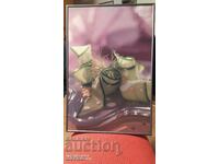 Poster fotografie pentru local, ramă metalică, salată, 60/40 cm