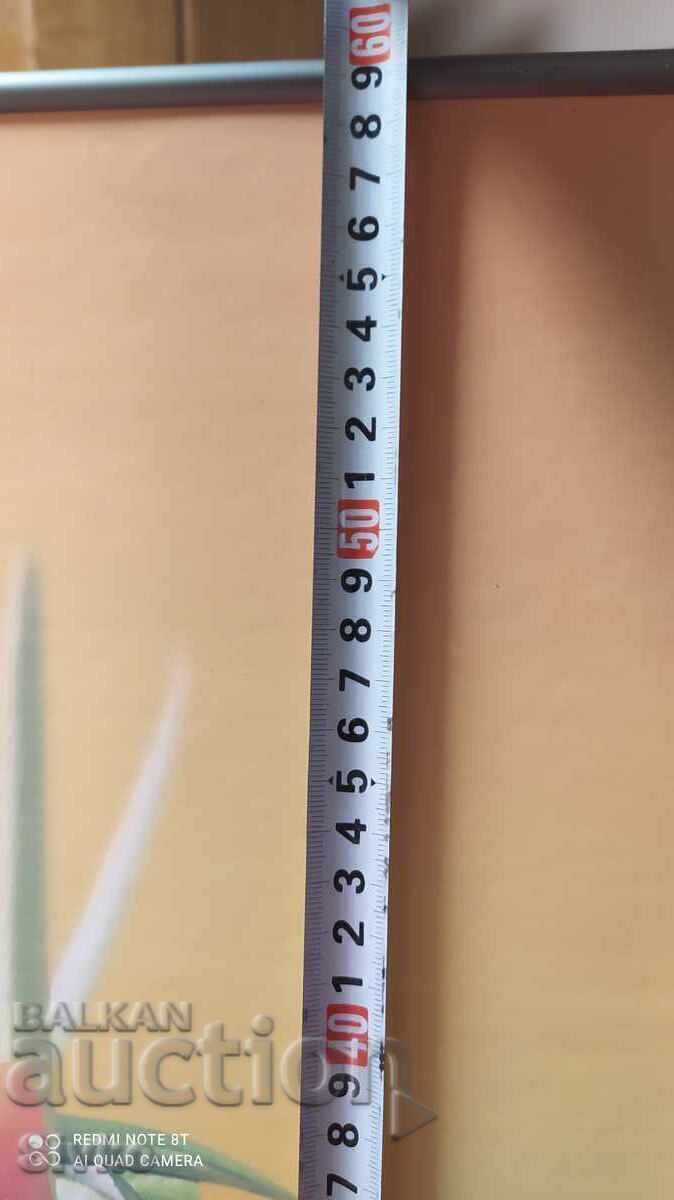 Δημοπρασία Πόστερ φωτογραφία σαλάτα μεταλλικό πλαίσιο 60/40 Δημοπρασία Πόστερ φωτογραφία σαλάτα μεταλλικό πλαίσιο 60/40