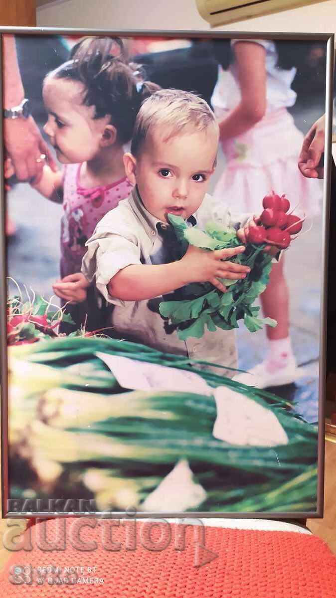 Πόστερ φωτογραφία παιδιού με ραπανάκια μεταλλικό πλαίσιο 60/40 Πόστερ φωτογραφία παιδιού με ραπανάκια μεταλλικό πλαίσιο 60/40