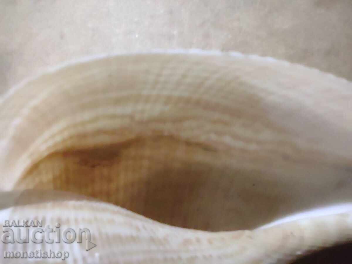 Δημοπρασία Δώρα στον ωκεανό Δημοπρασία Δώρα στον ωκεανό