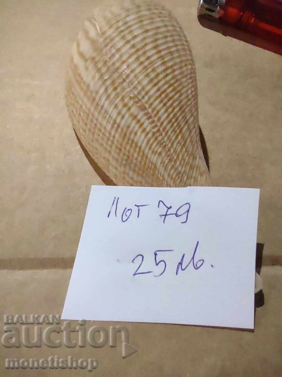 Δώρα στον ωκεανό - 5 Δώρα στον ωκεανό - 5