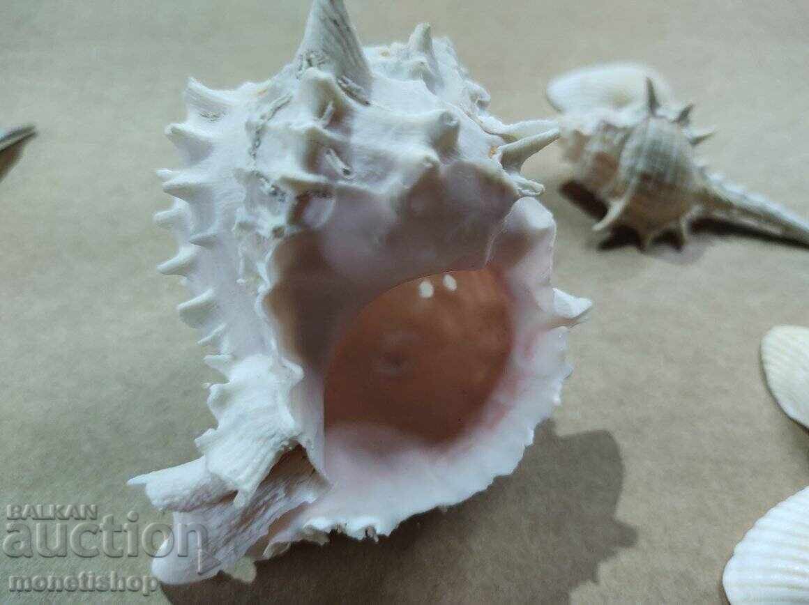 Δώρα στον ωκεανό - 7