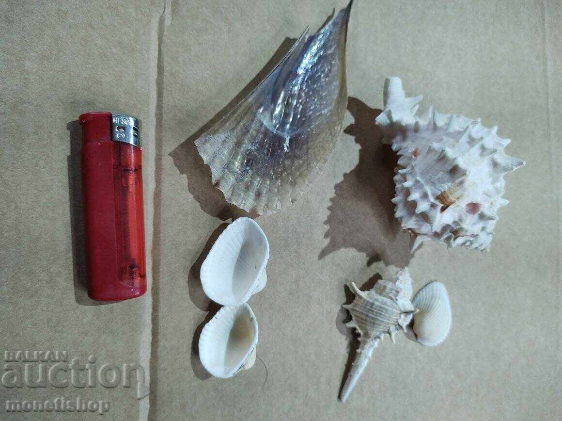 Δώρα στον ωκεανό