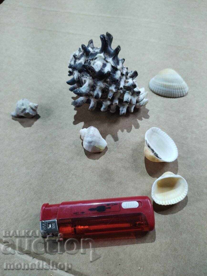 Δώρα στον ωκεανό - 5