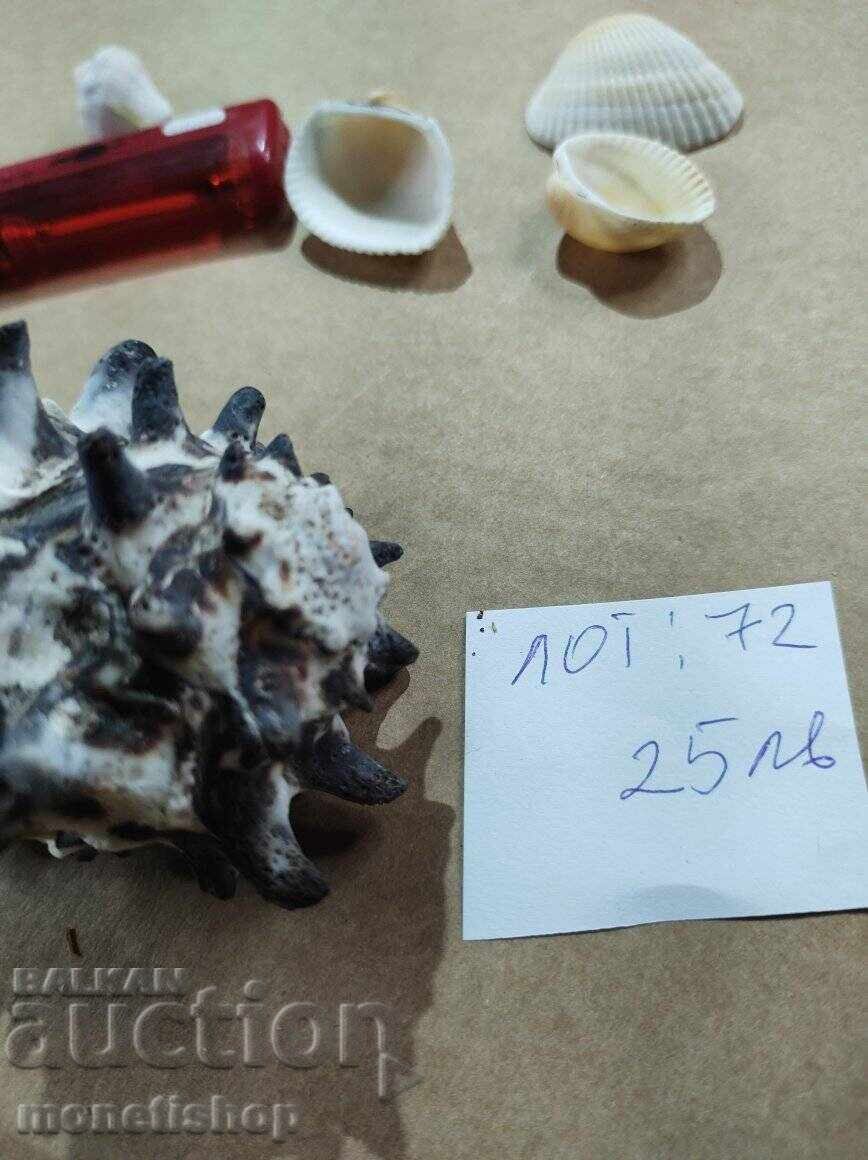 Δώρα στον ωκεανό