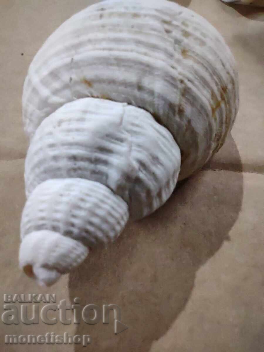 Δώρα στον ωκεανό με τιμή 25.00 BGN | € 12.78 Δώρα στον ωκεανό με τιμή 25.00 BGN | € 12.78