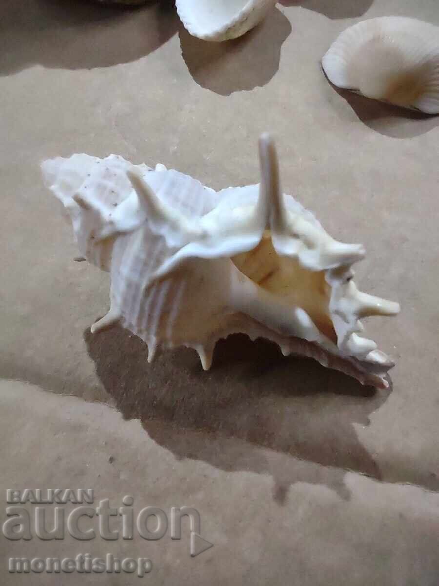 Δώρα στον ωκεανό - 6 Δώρα στον ωκεανό - 6