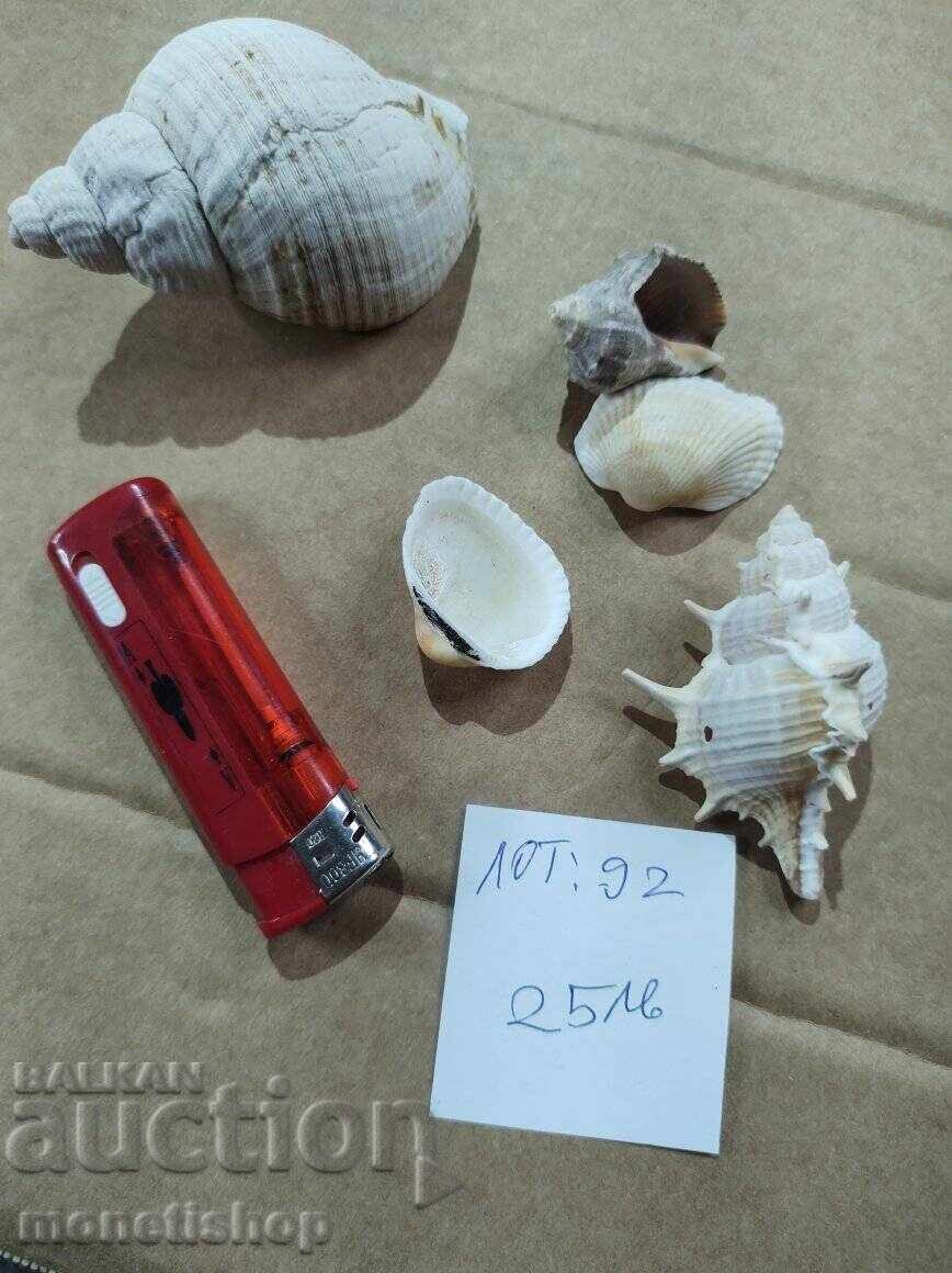 Δώρα στον ωκεανό Δώρα στον ωκεανό