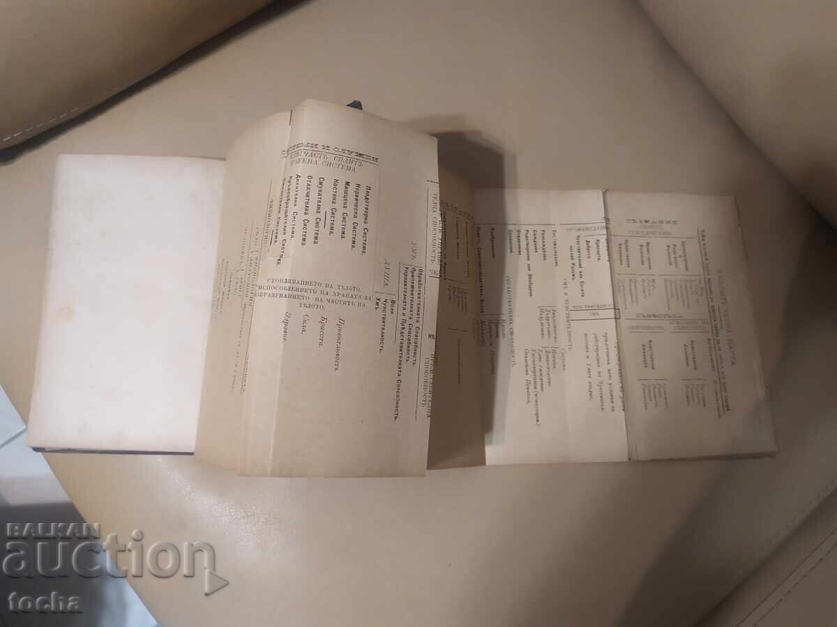 Auction  Fairy Tales on Mental Philosophy 1886, in a Convolute