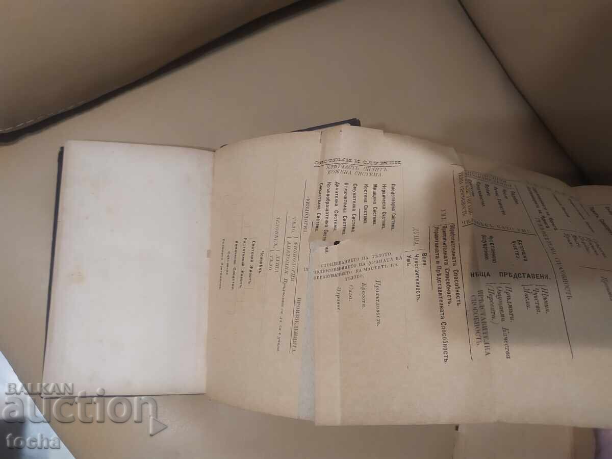 Delivery of Fairy Tales on Mental Philosophy 1886, in a Convolute