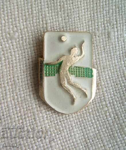 Handball badge Handball badge