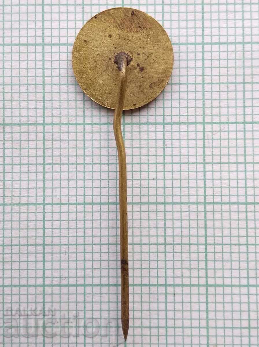 Auction  18039 Badge