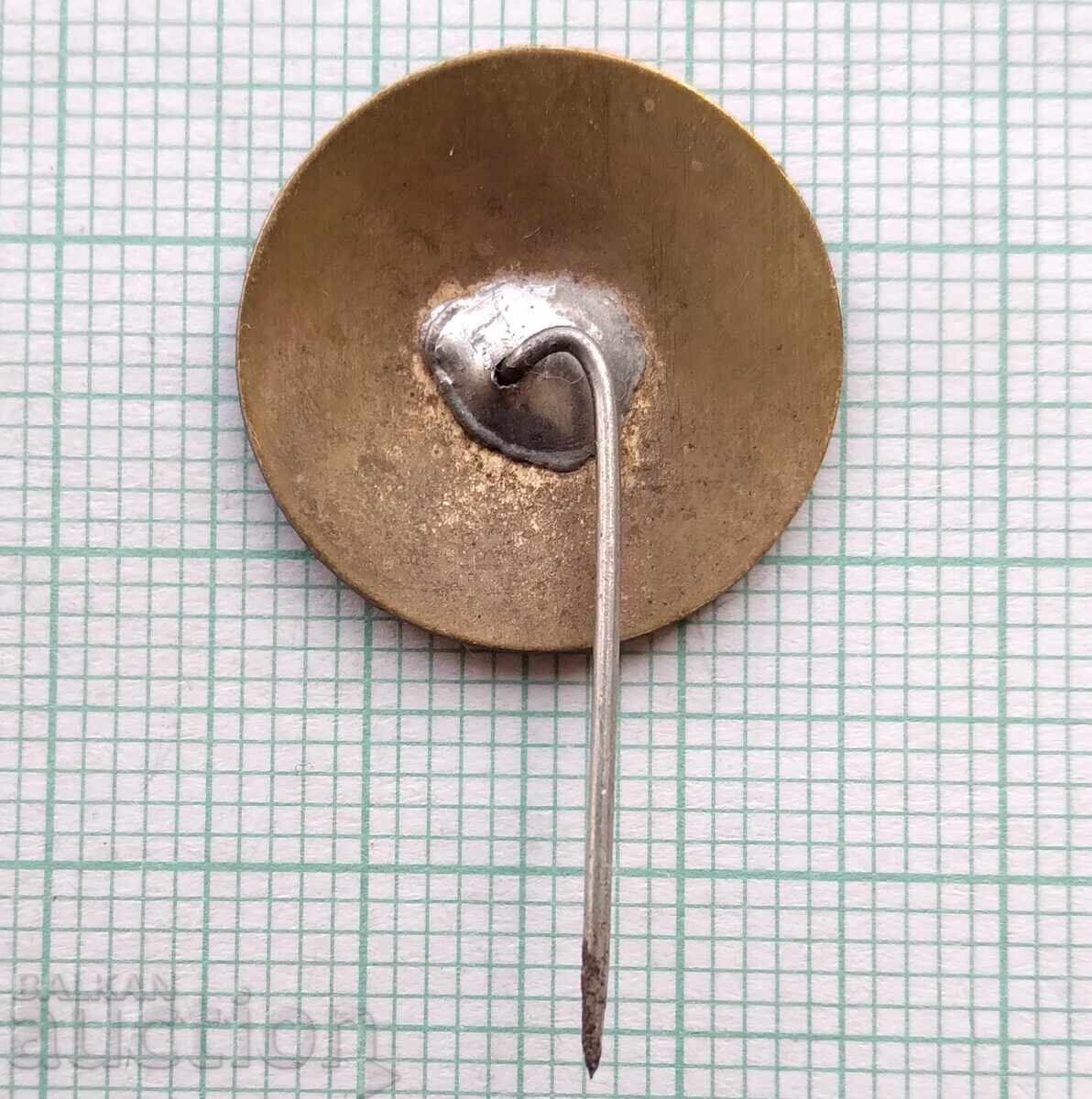 Auction 18040 Badge - NTS Scientific and Technical Union Auction 18040 Badge - NTS Scientific and Technical Union