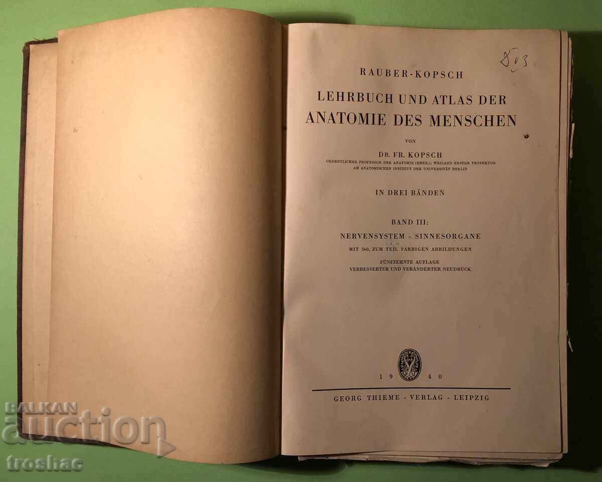 Old Book Human Anatomy / Rauber Kopsch with price 20.00 BGN | € 10.23 Old Book Human Anatomy / Rauber Kopsch with price 20.00 BGN | € 10.23