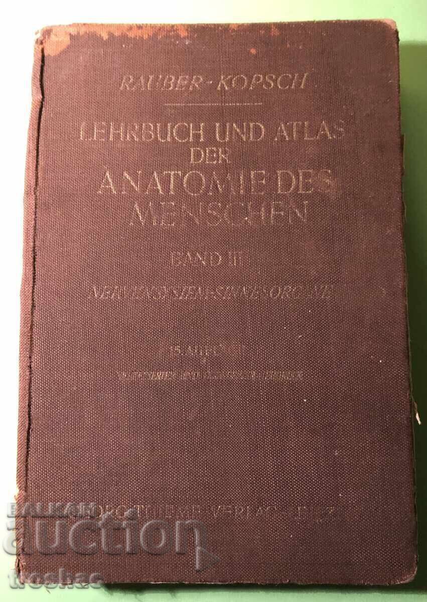 Παράδοση Old Book Human Anatomy / Rauber Kopsch Παράδοση Old Book Human Anatomy / Rauber Kopsch