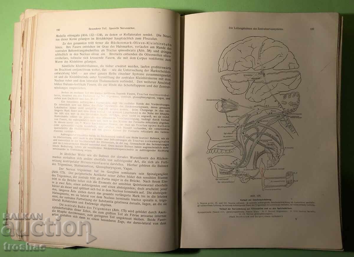Old Book Human Anatomy / Rauber Kopsch - 6 Old Book Human Anatomy / Rauber Kopsch - 6