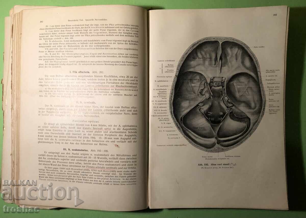 Old Book Human Anatomy / Rauber Kopsch - 7 Old Book Human Anatomy / Rauber Kopsch - 7