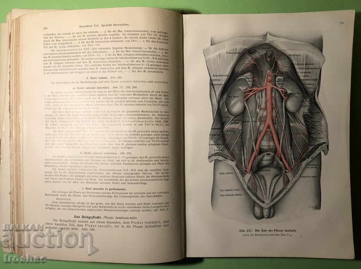 Old Book Human Anatomy / Rauber Kopsch Old Book Human Anatomy / Rauber Kopsch